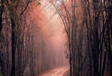 欧博官网：[国内]出线稳了？!国足世界杯夺冠赔率亚洲仅低于日韩.