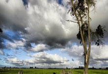 迪马济奥:帕拉迪奇和米兰达成口头协议,他将成为新任体育总监.