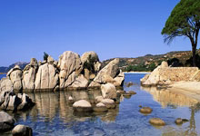 愿阿杜无碍!杜兰特11中5得11分7板1助1断 90度崴脚伤退让人揪心.